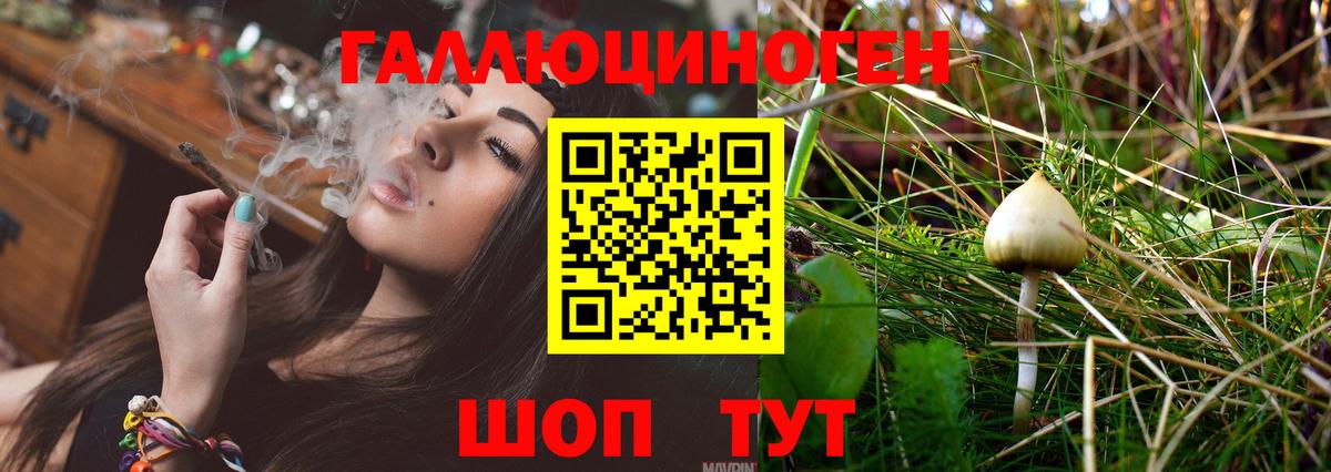 Псилоцибиновые грибы мицелий Грязи